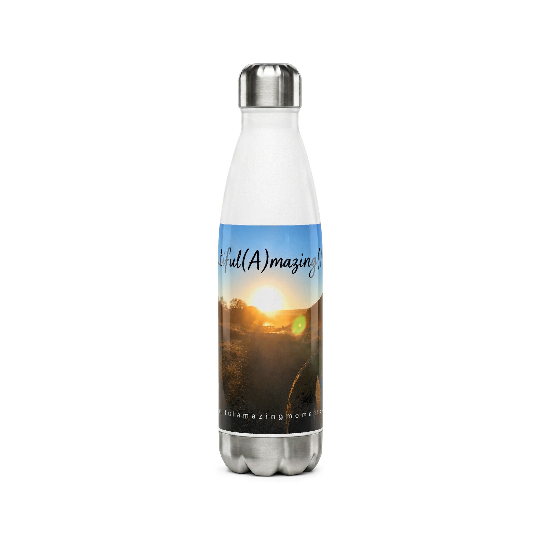 Beautiful Amazing Moments Stainless Steel Water Bottle,17oz