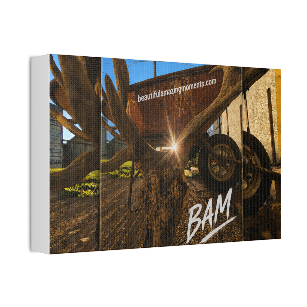 BAM – Light Through the Moment | Stretched CanvasCanvas Stretched, 1.5''