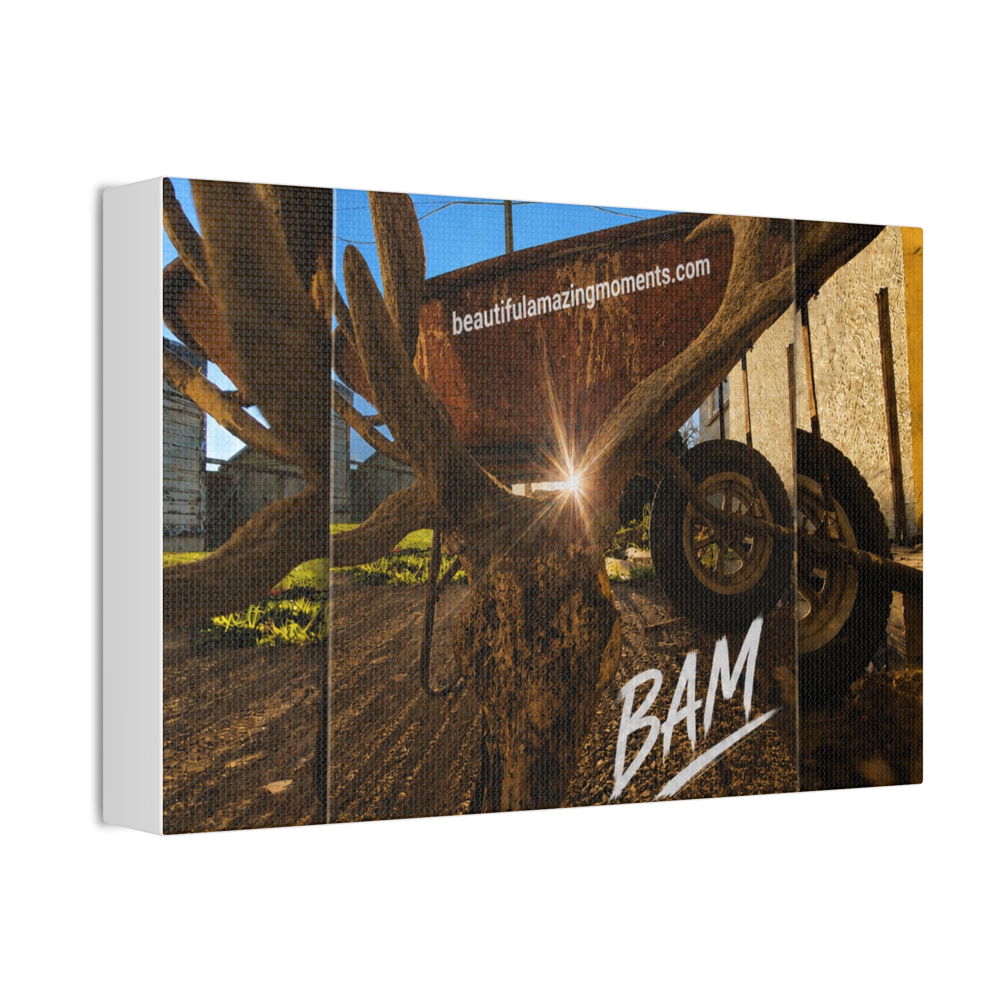 BAM – Light Through the Moment | Stretched CanvasCanvas Stretched, 1.5''